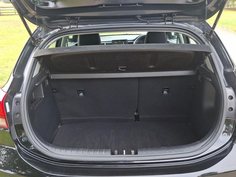 Used Kia Rio FY69PTU 35