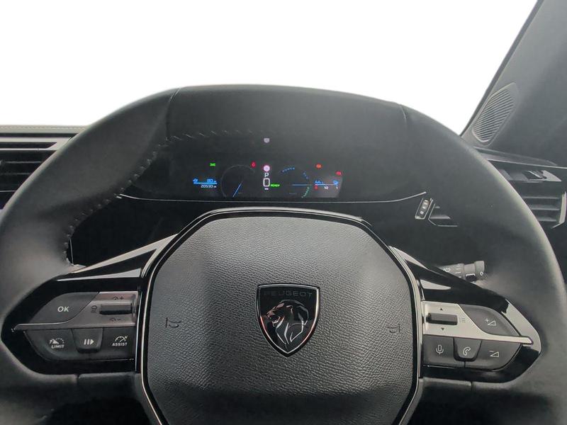 Used Peugeot E-308 RX73OUB 13