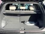 Kia EV3 Photo 38