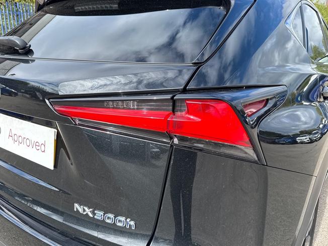 Lexus NX Photo 18