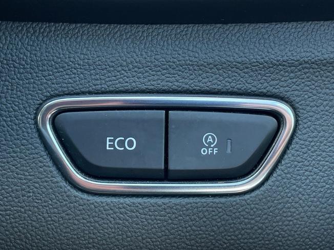 RENAULT Kadjar Photo 38