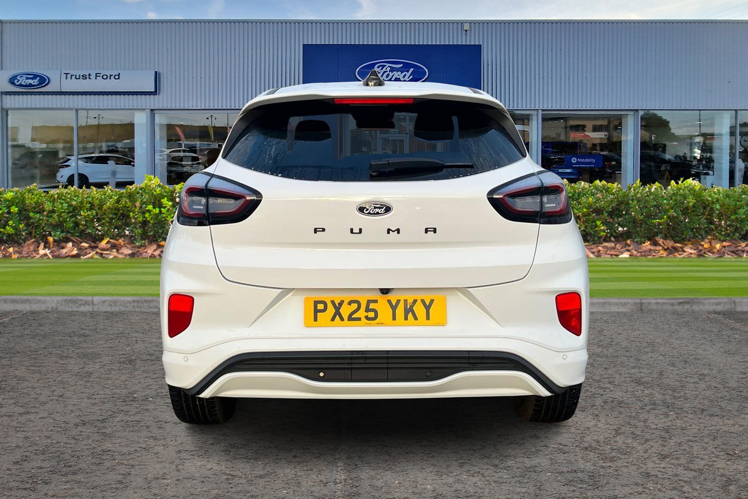 Ford Puma Photo 6