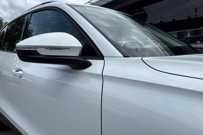 VOLKSWAGEN Tiguan Photo 20