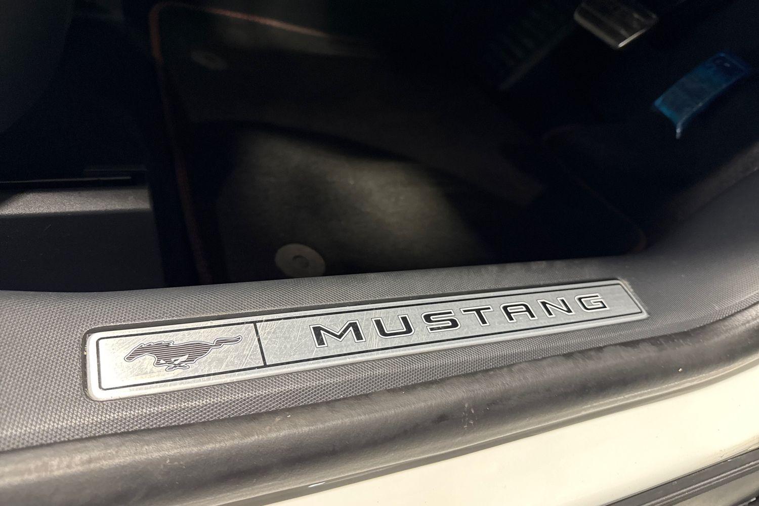 Ford MUSTANG MACH-E Photo 30
