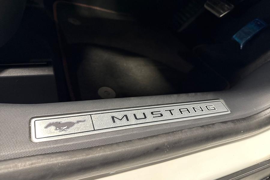Ford MUSTANG MACH-E Photo autoimg-64f0ead764b86cd8d717897966278669d91c3f5e.jpg