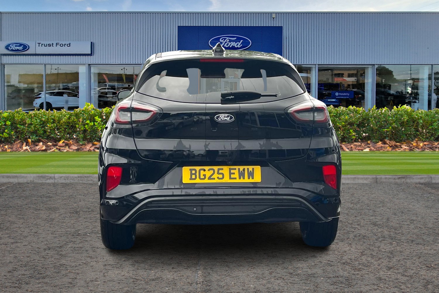 Ford PUMA Photo 6