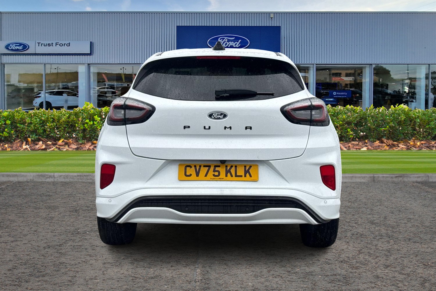 Ford PUMA Photo 6