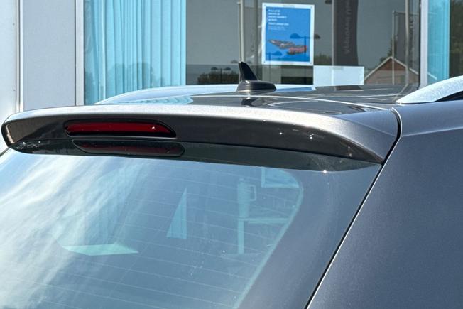 VOLKSWAGEN Tiguan Photo 49