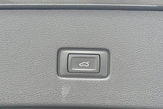 AUDI Q8 Photo 28