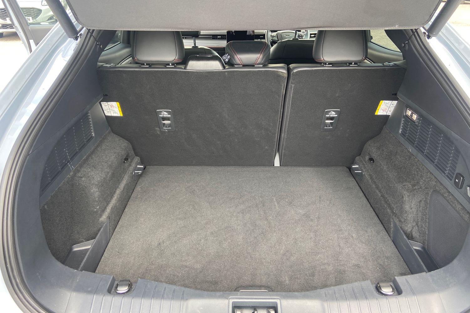 Ford Mustang Mach-E Photo 20