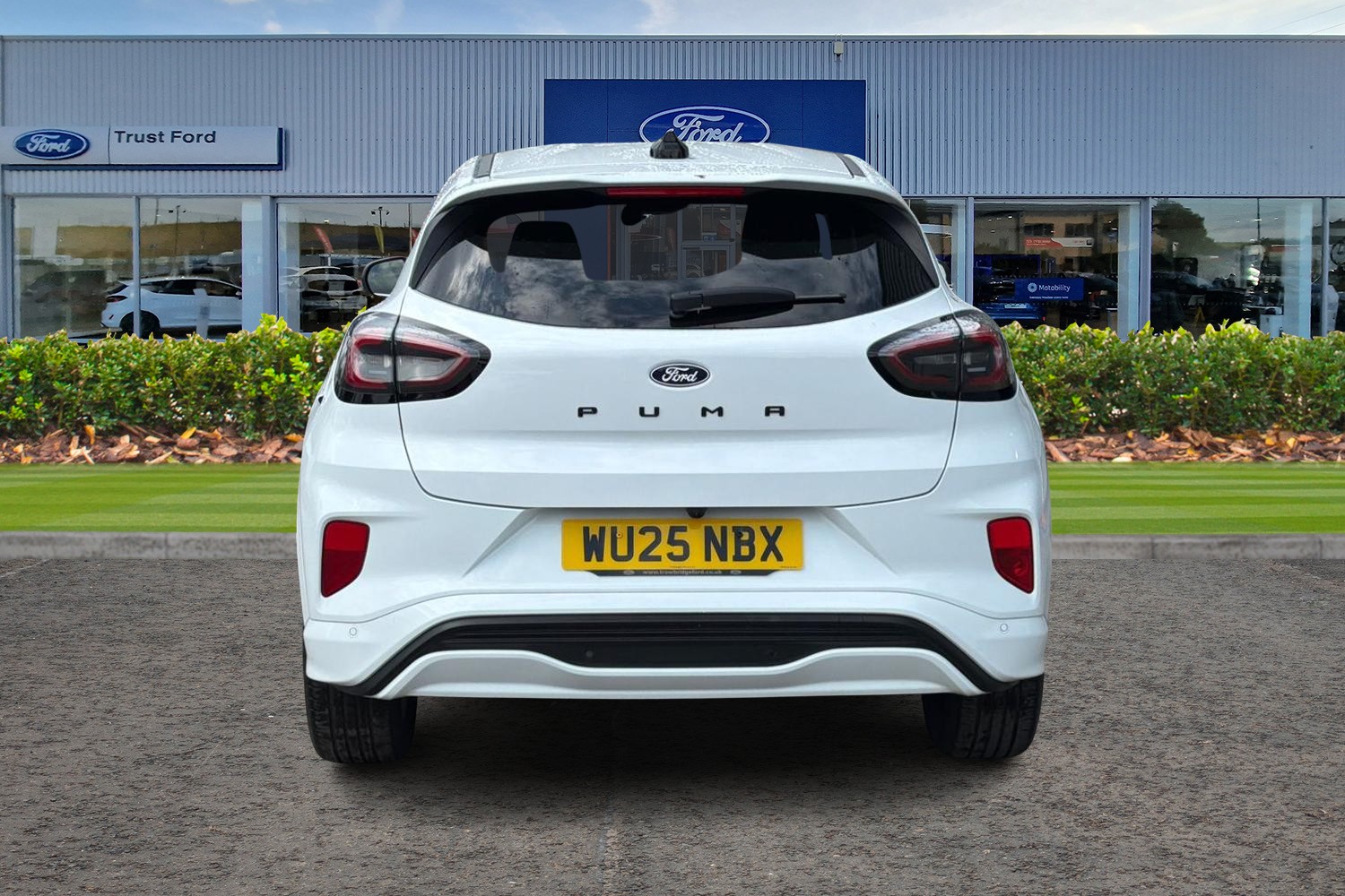 Ford Puma Photo 6