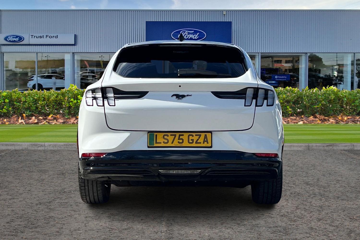 Ford Mustang Mach-E Photo 6