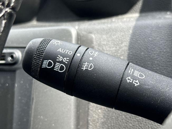 DACIA Duster Photo 38