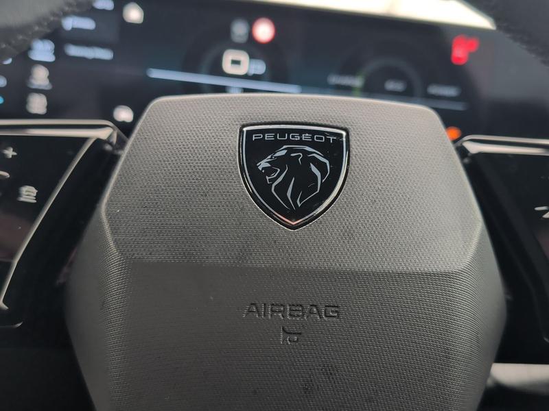 Used Peugeot 3008 WU24VSG 37