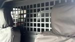 Isuzu D-Max Photo 3