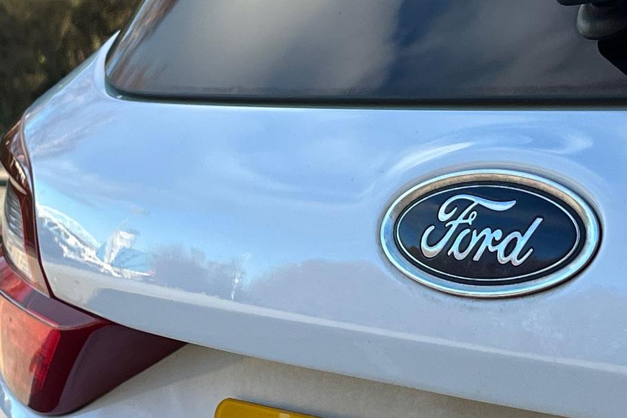 Used Ford FIESTA FL19VUX 40