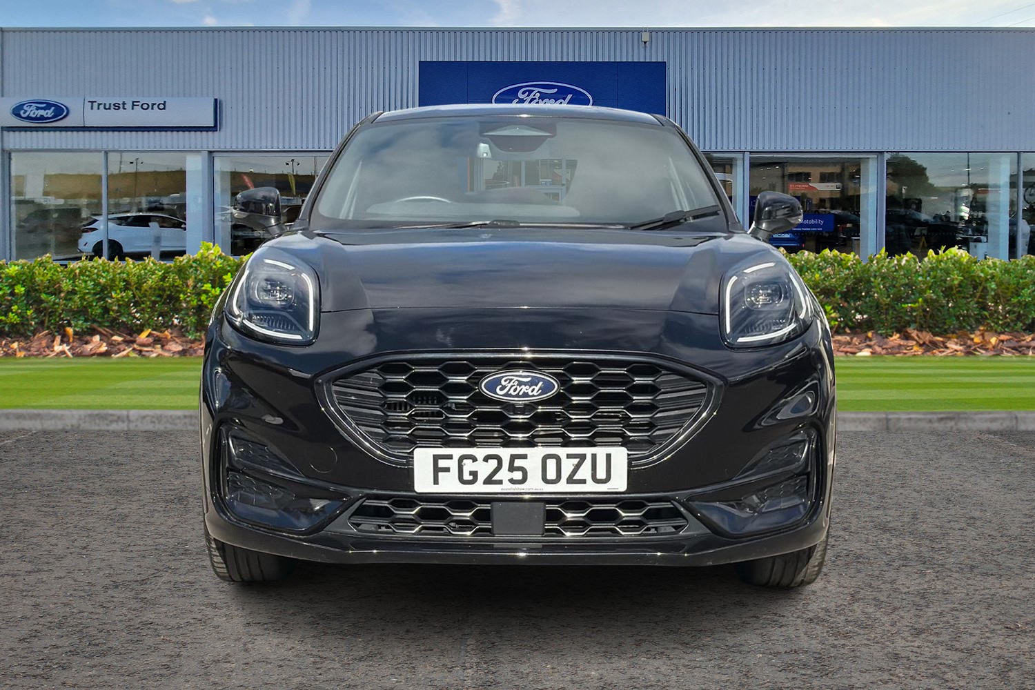 Ford PUMA Photo 5
