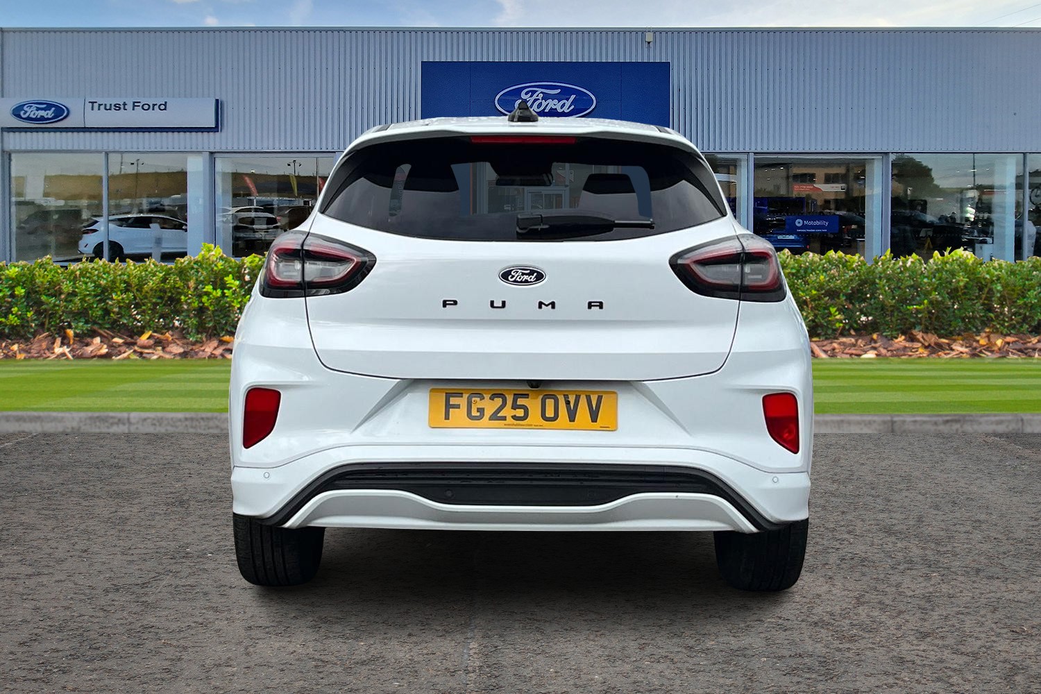 Ford PUMA Photo 6