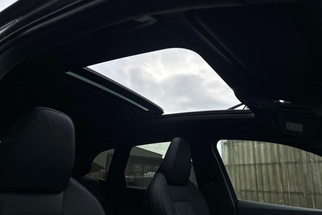 AUDI Sq5 Photo 47