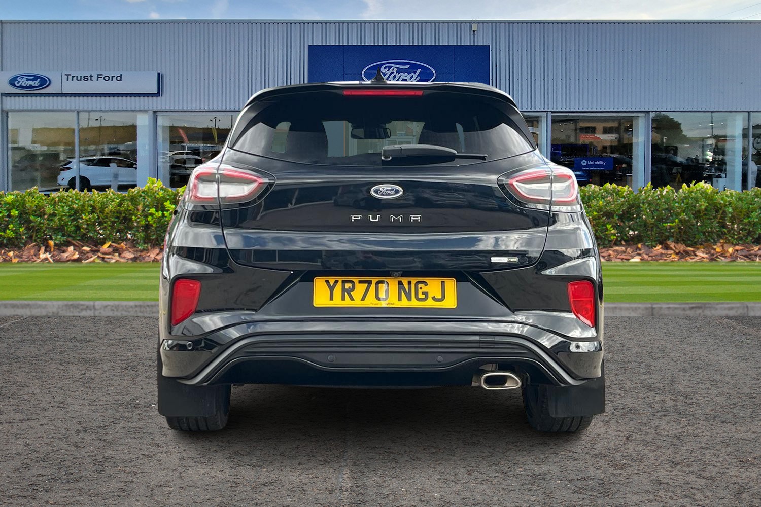 Ford PUMA Photo 6