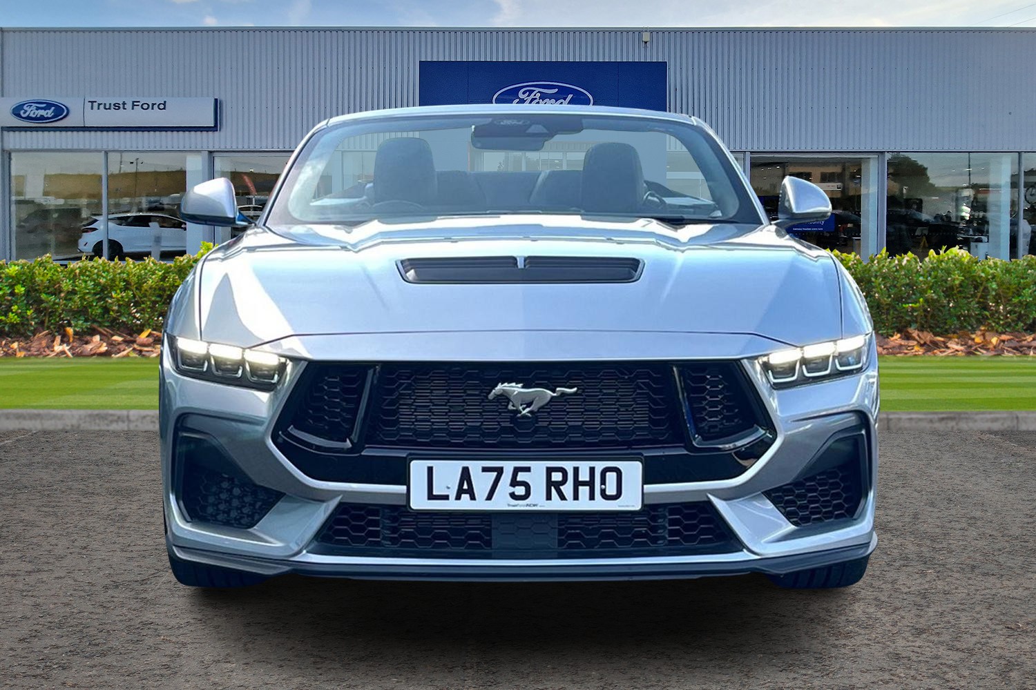 Ford MUSTANG Photo 5