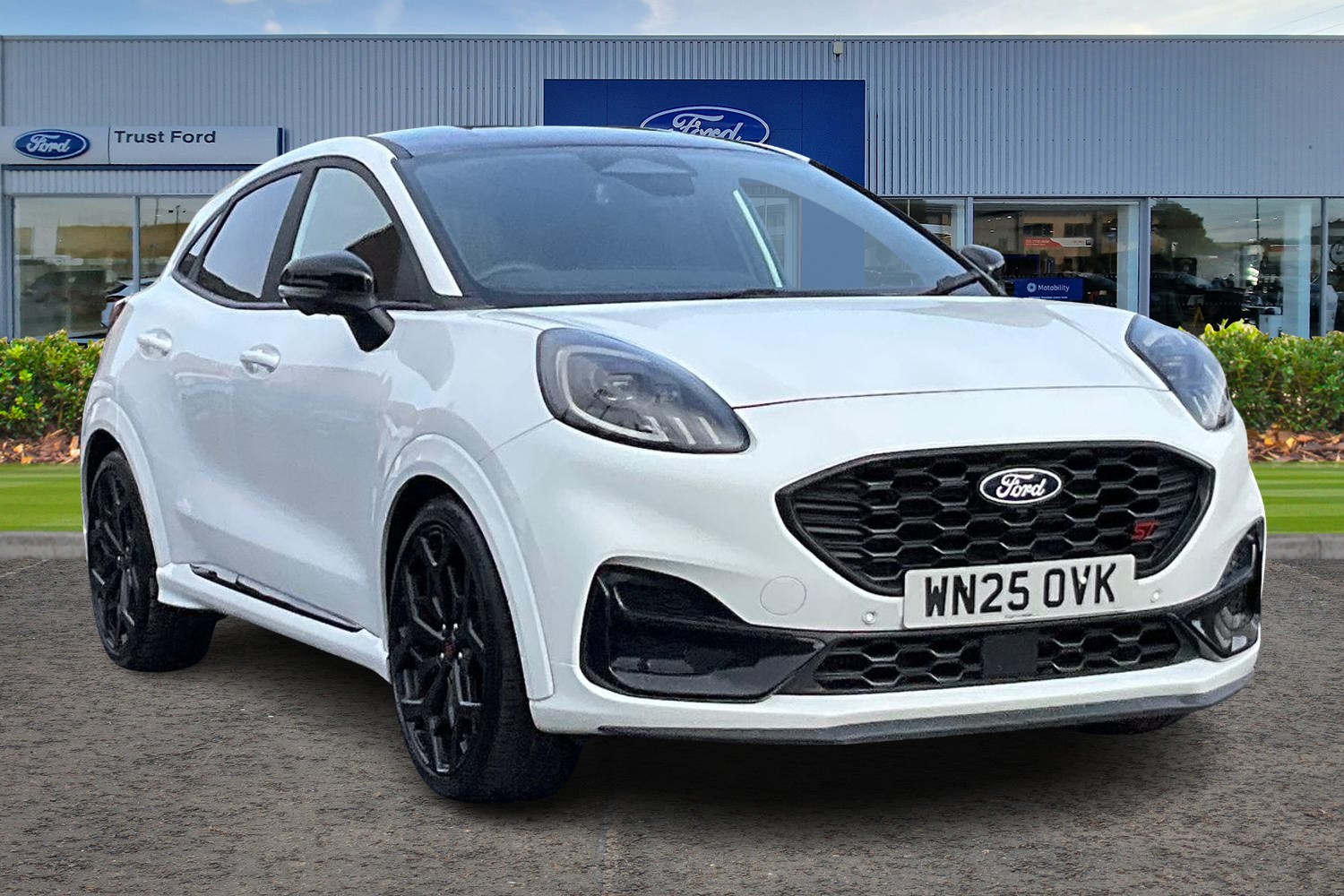Ford PUMA Photo 0