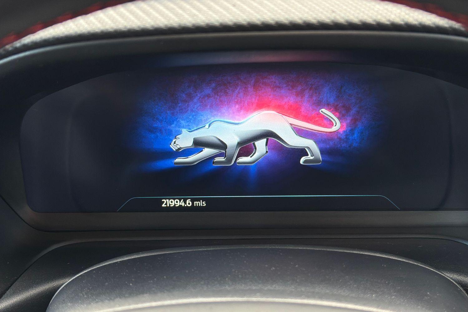 Ford PUMA Photo 12