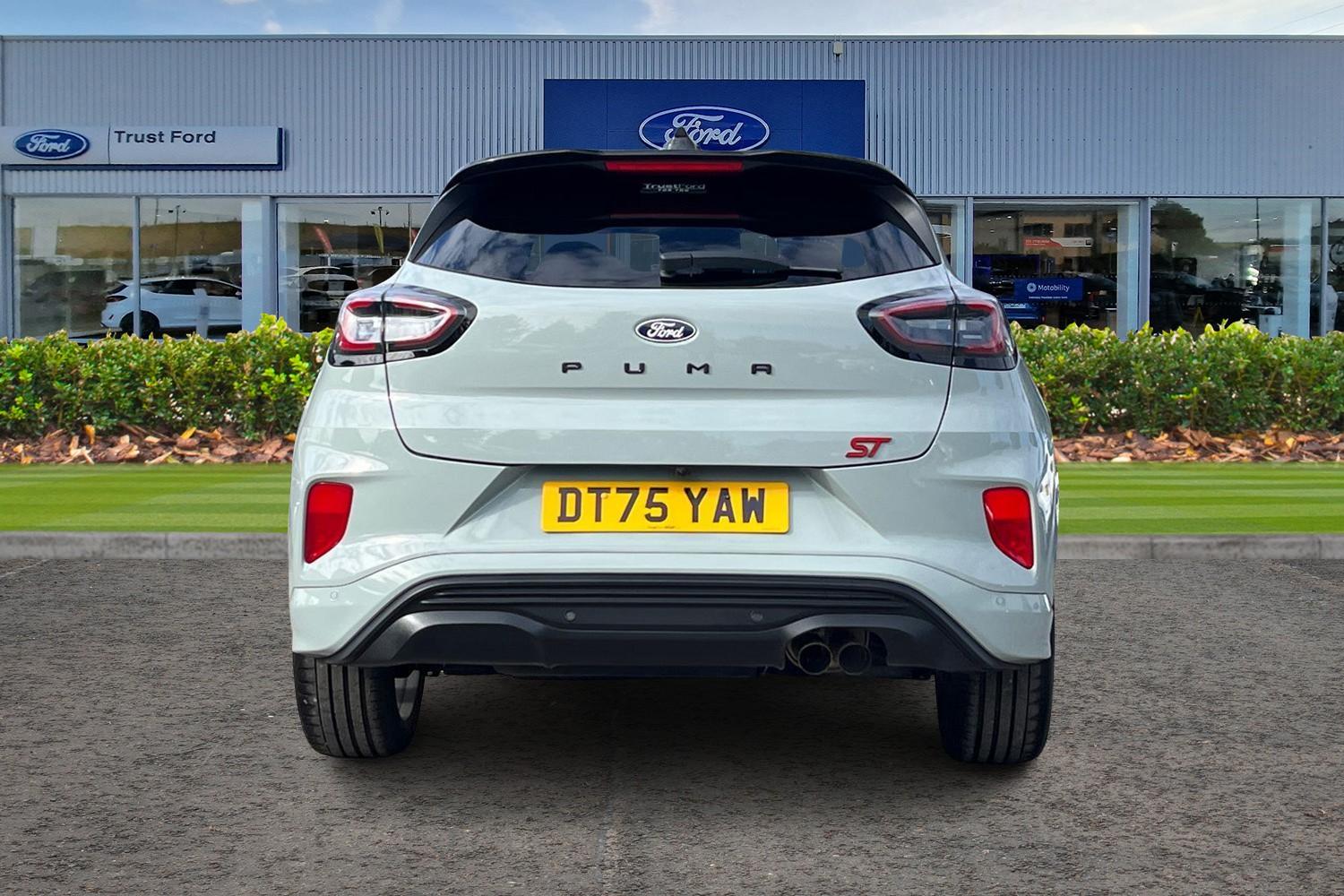 Ford Puma Photo 6