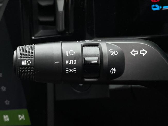 RENAULT Scenic E-Tech Photo 39