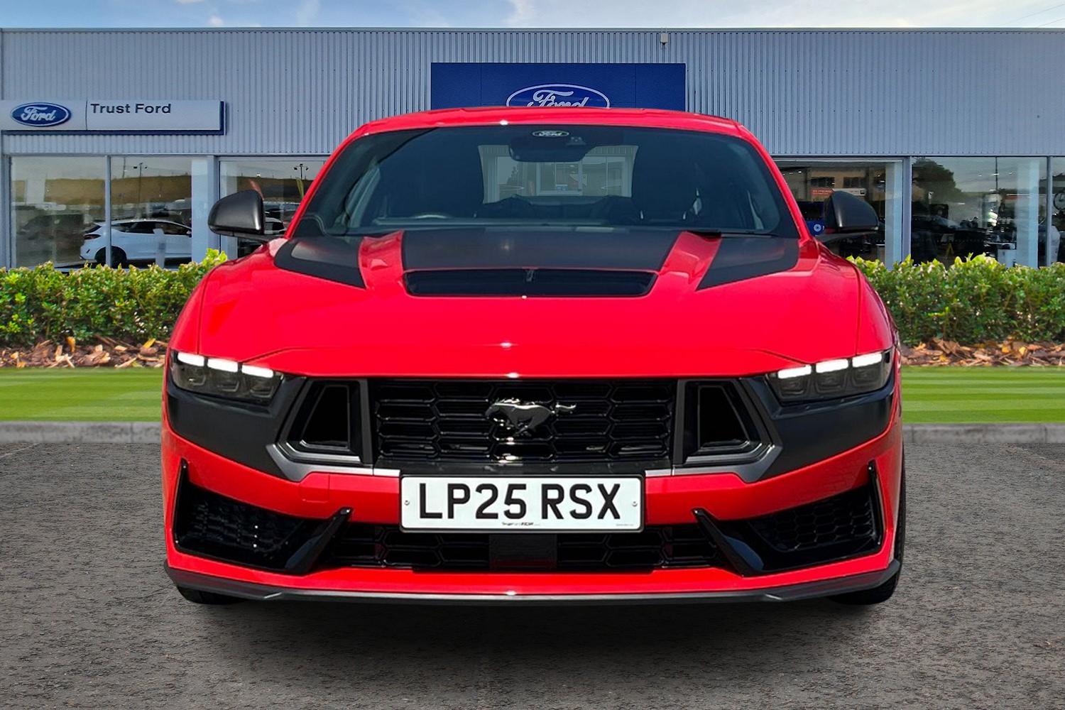 Ford MUSTANG Photo 5