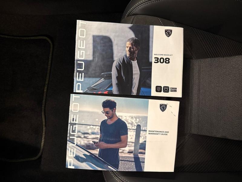 Used Peugeot E-308 WK24XDH 45