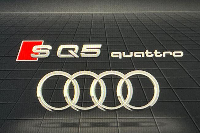AUDI SQ5 Photo 25