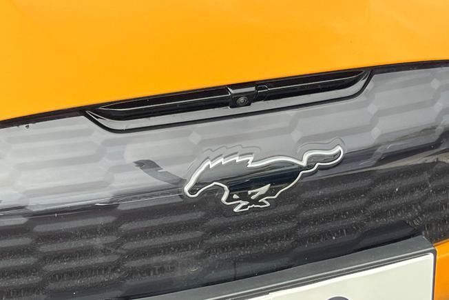 FORD Mustang Mach-E Photo 36