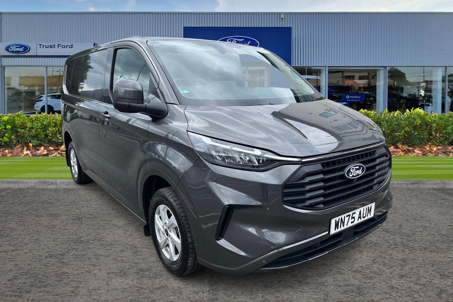 Ford TRANSIT CUSTOM Photo 0