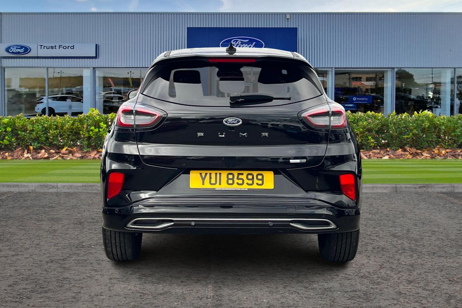 Ford Puma Photo 6