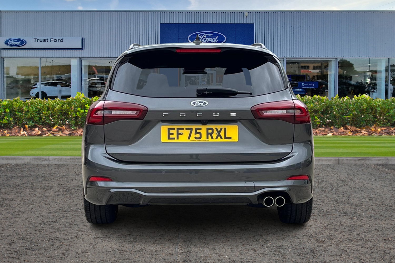 Ford Focus Photo 6