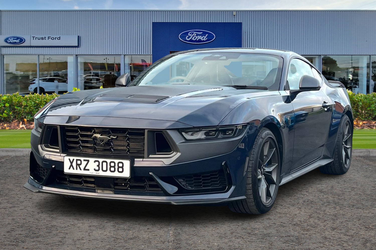 Ford MUSTANG Photo 4