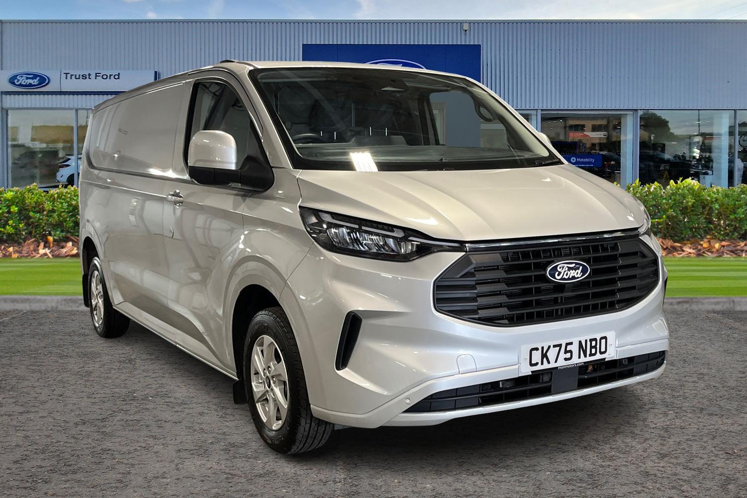 Ford TRANSIT CUSTOM Photo 0