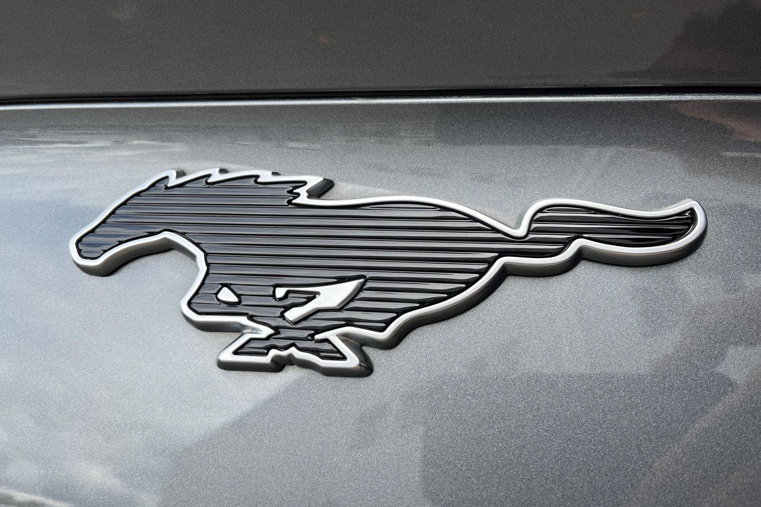 Ford Mustang Mach-E Photo 39