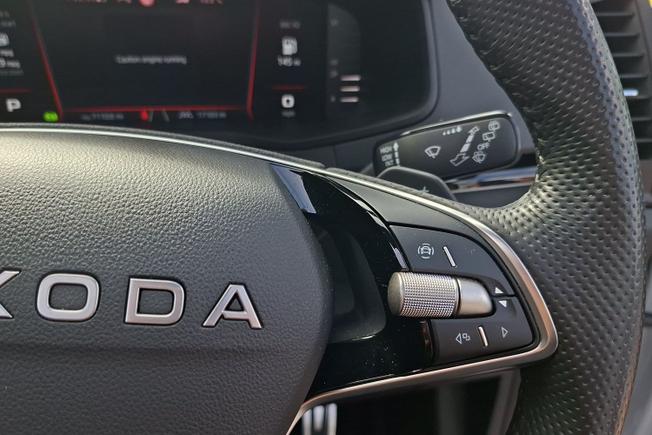 ŠKODA Karoq Photo 17