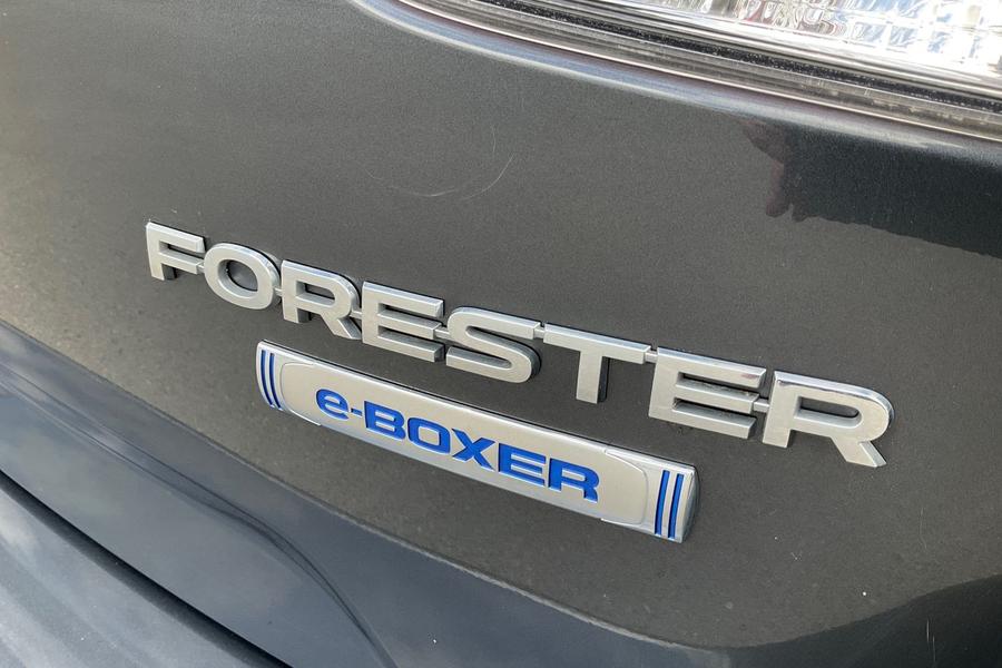 Subaru FORESTER Photo autoimg-9cc1bd6718f5b86b1c5da9b2eaa280d3e11dd57b.jpg