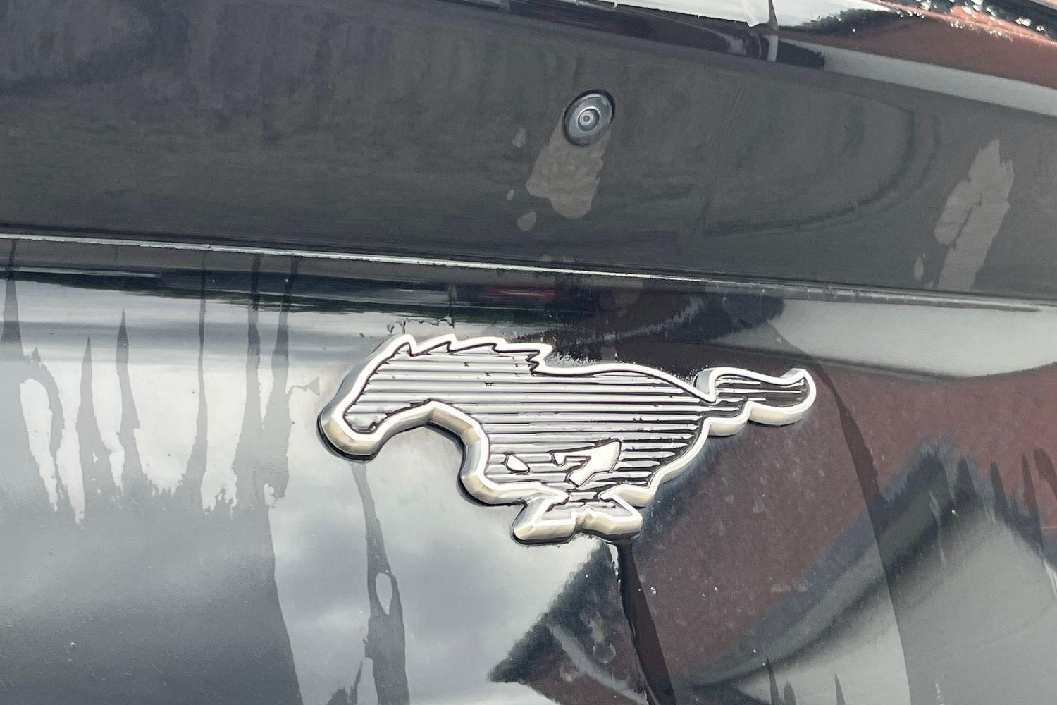 Ford MUSTANG MACH-E Photo 25