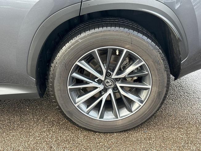 LEXUS Nx Photo 25