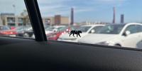Volkswagen Tiguan Photo 24
