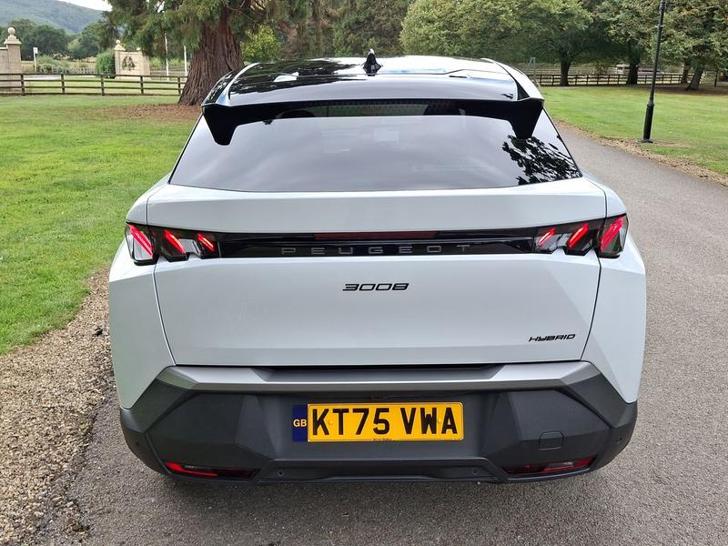 Used Peugeot 3008 KT75VWA 42