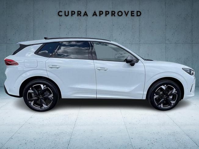 CUPRA Terramar Photo 4