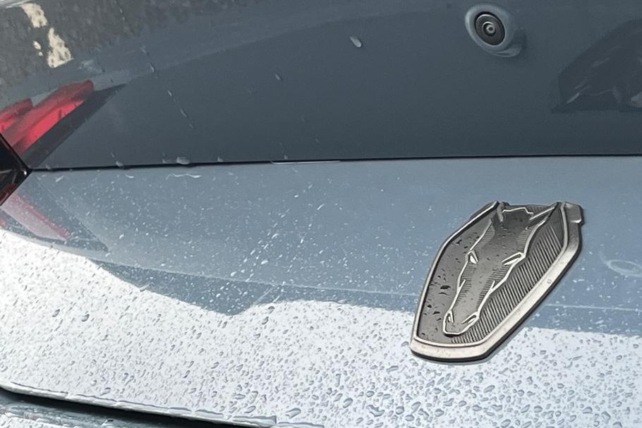 Used Ford MUSTANG YE74ZFZ 40