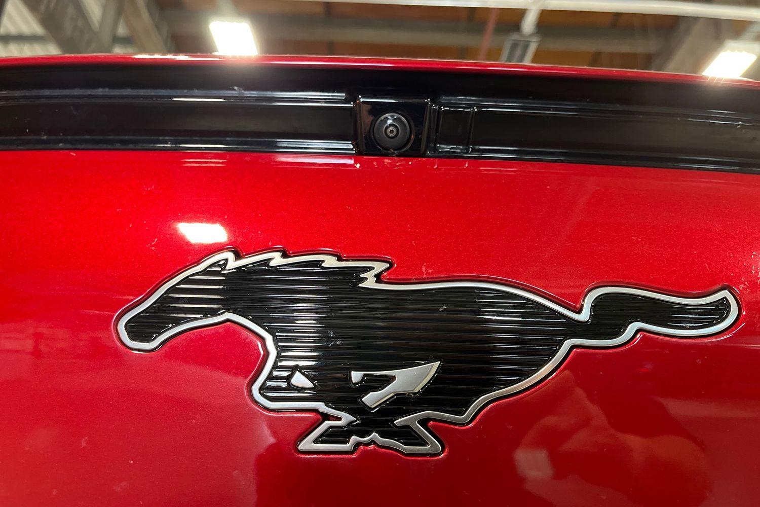 Ford Mustang Mach-E Photo 27