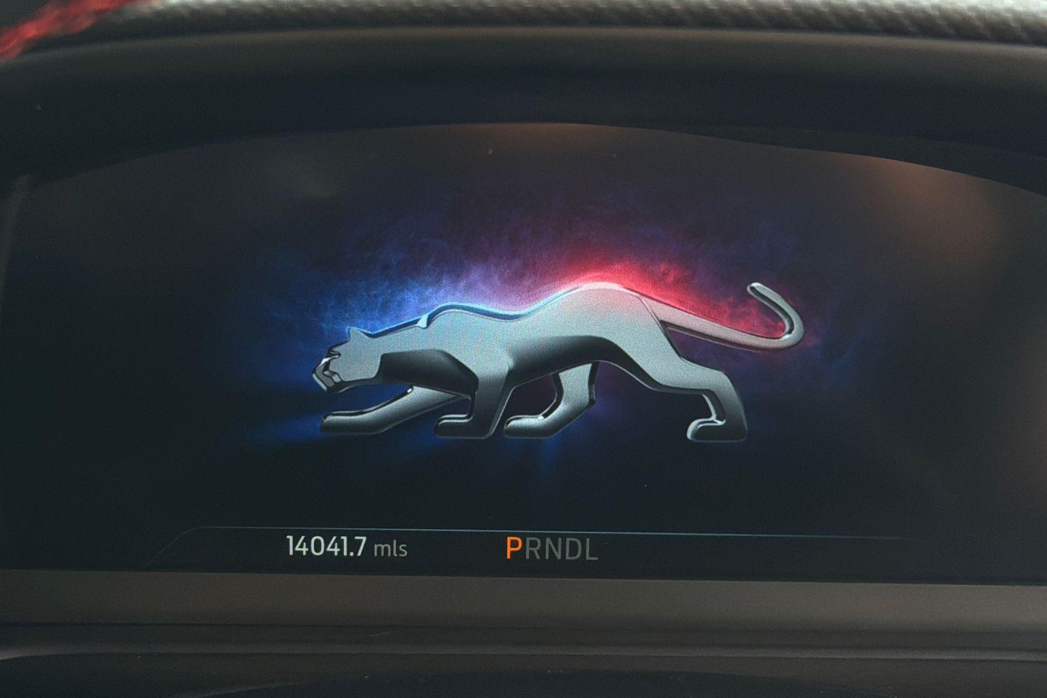 Ford PUMA Photo 12
