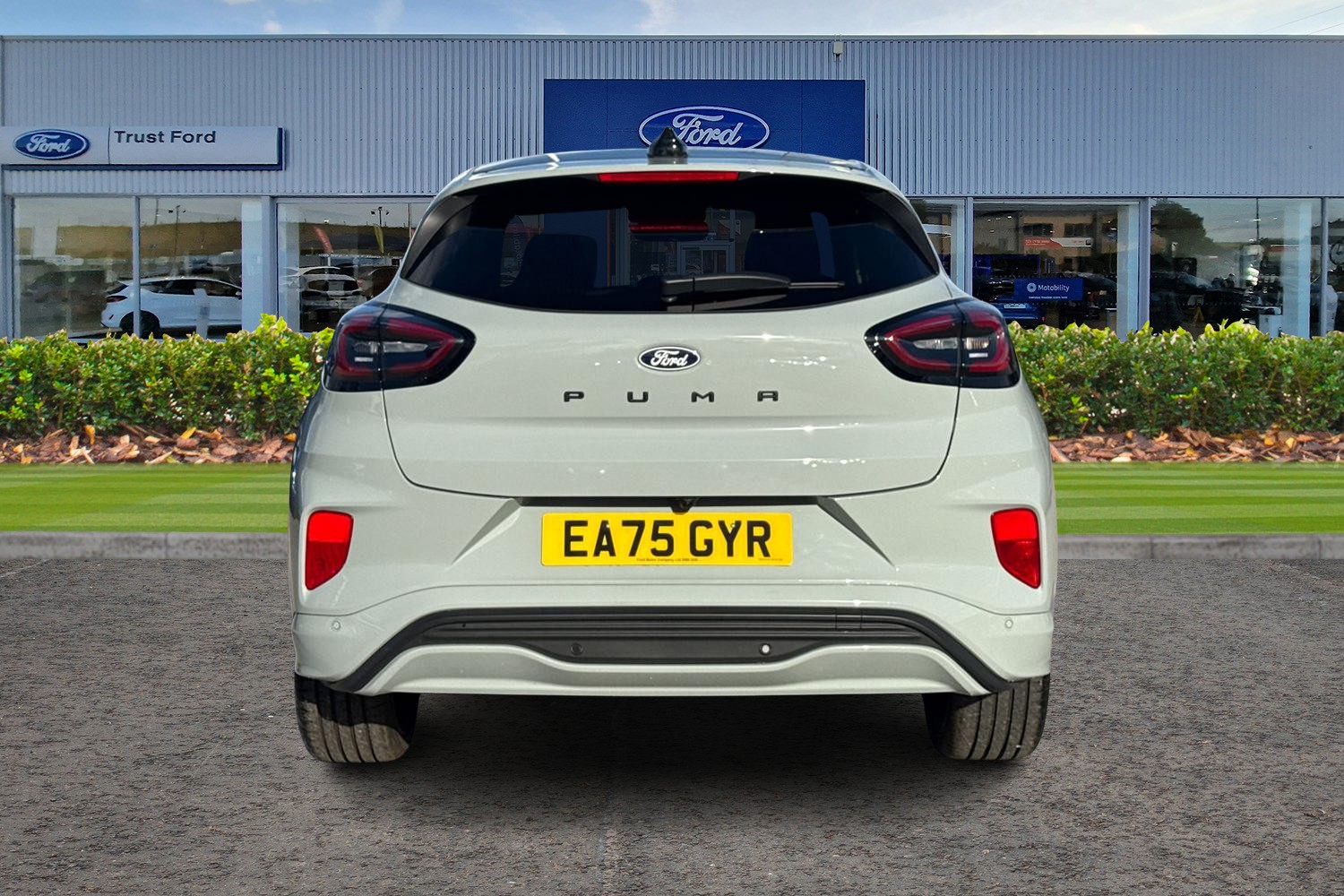 Ford PUMA Photo 6